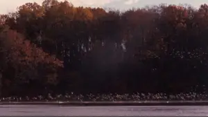 Задник до фильму"Товариство мертвих поетів" #573886