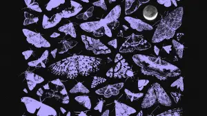 Задник до фильму"Nocturnes" #787091