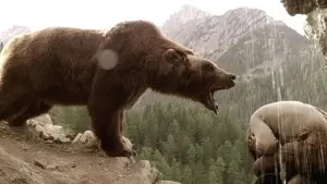 Задник до фильму"Ведмідь" #246287