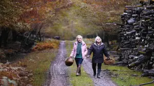 Задник до фильму"З приходом осені" #605273