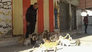 Задник до фильму"" #682196