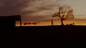 Задник до фильму"Непрощений" #657923