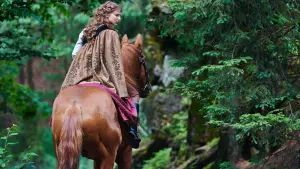 Задник до фильму"Земля тролів" #260483