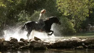 Задник до фильму"Східний вітер 3: Спадщина Ори" #423735