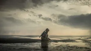 Задник до фильму"Чужа земля" #334613