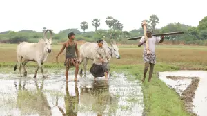 Задник до фильму"பைசன் காளமாடன்" #786354