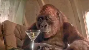 Задник до фильму"Конго" #701576