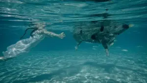 Задник до фильму"" #456870