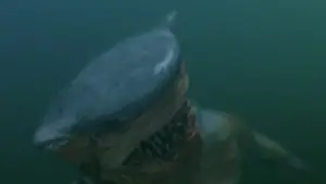 Задник до фильму"" #678044