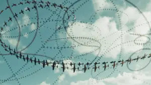 Задник до фильму"" #699516