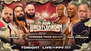 Задник до фильму"AEW WrestleDream 2025" #868178