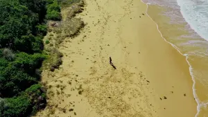 Задник до фильму"" #488616