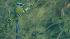 Задник до фильму"" #427237