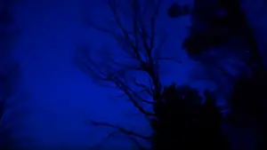 Задник до фильму"" #449026