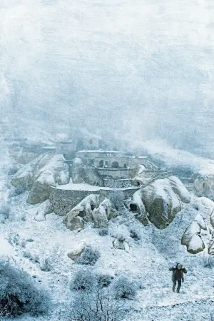 Постер до фильму"Зимова сплячка" #206027