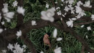 Задник до фильму"" #629295