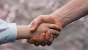 Задник до фильму"Сім