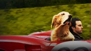 Задник до фильму"Очима собаки" #716555