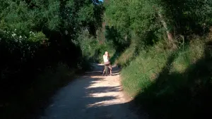 Задник до фильму"" #475861