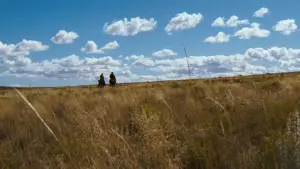 Задник до фильму"Джосі Вейлз – людина поза законом" #670929