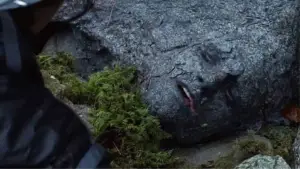 Задник до фильму"Голодні ігри" #603241