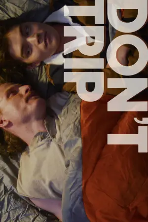 Постер до фильму"Don