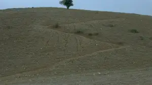 Задник до фильму"خانه‌ی دوست کجاست؟" #752477