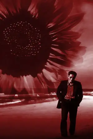 Постер до фильму"Феєрверк" #711009