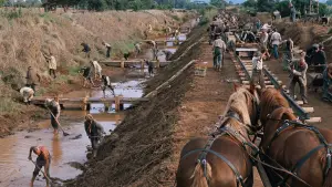 Задник до фильму"" #540759