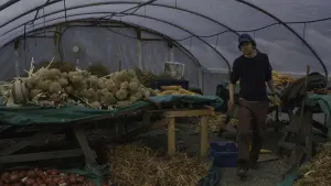 Задник до фильму"Нічні рухи" #461578