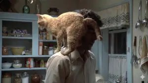 Задник до фильму"The Long Goodbye" #905836