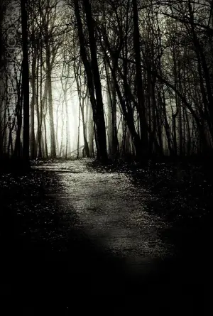 Постер до фильму"Вузол диявола" #450110