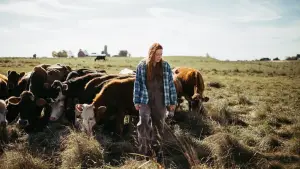 Задник до фильму"Зелений і золотий" #673501