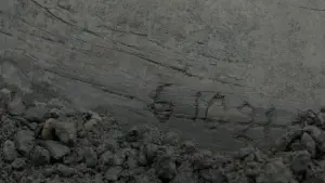 Задник до фильму"Той, хто біжить по лезу 2049" #548703