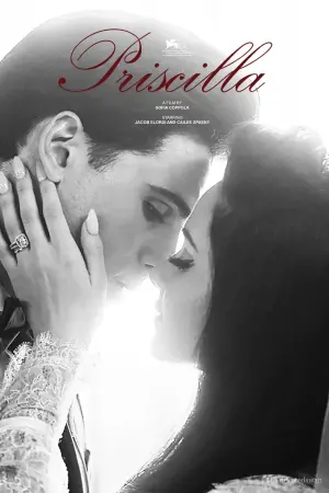 Постер до фильму"Прісцилла" #486973