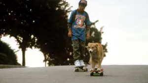 Задник до фильму"Бінго" #461197