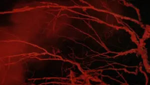 Задник до фильму"Дерсу Узала" #751362