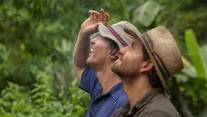 Задник до фильму"Золото" #275693