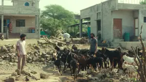 Задник до фильму"Плоди опунції" #803958