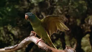 Задник до фильму"" #383546