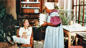 Задник до фильму"Приборкання норовливого" #238028