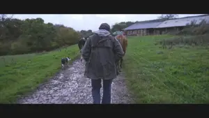 Задник до фильму"Violence dans les Champs" #794466