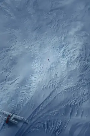 Постер до фильму"Арктика" #364833