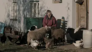 Задник до фильму"A Few Mornings, an Evening" #788071