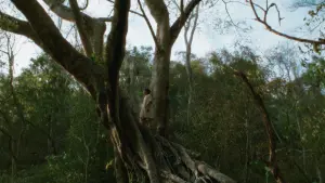 Задник до фильму"" #191606