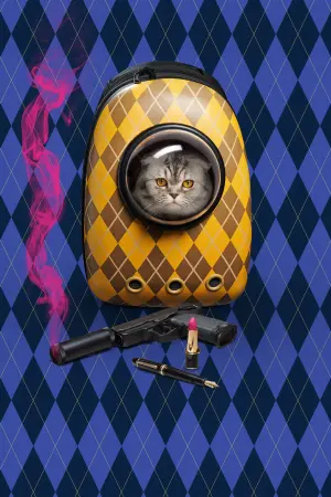 Постер до фильму"Арґайл" #170868