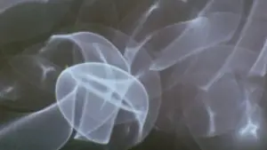 Задник до фильму"Змішані контейнери" #706788