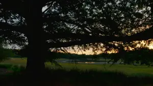 Задник до фильму"" #198317