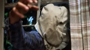 Задник до фильму"П’ятниця 13-те: Частина 2" #665858