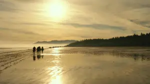 Задник до фильму"Війна за планету мавп" #585939